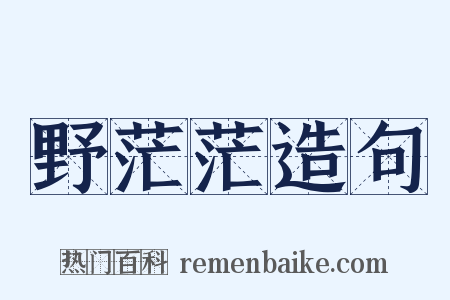 野茫茫造句是什么意思的图片